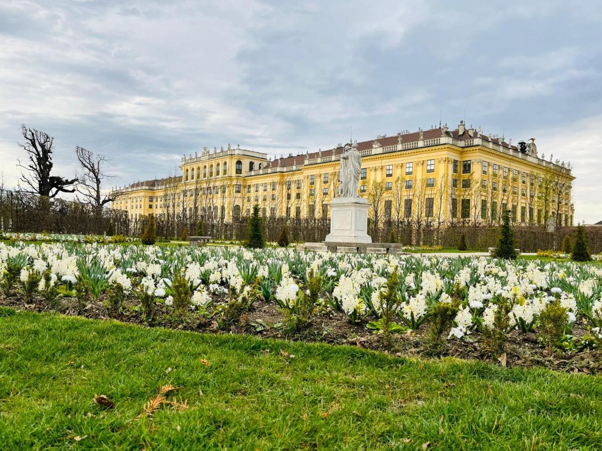 Lovely Nest! Just Beside Schoenbrunn Palace And Zoo! * Wiedeń